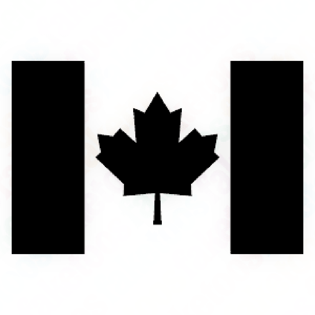 canadian-glitter-tattoo-stencil-henna-caravan