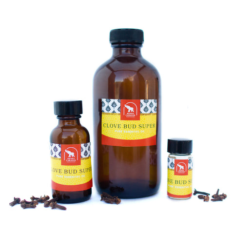 Clove bud essential oil in various sizes