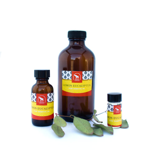 lemon eucalyptus essential oil in various sizes