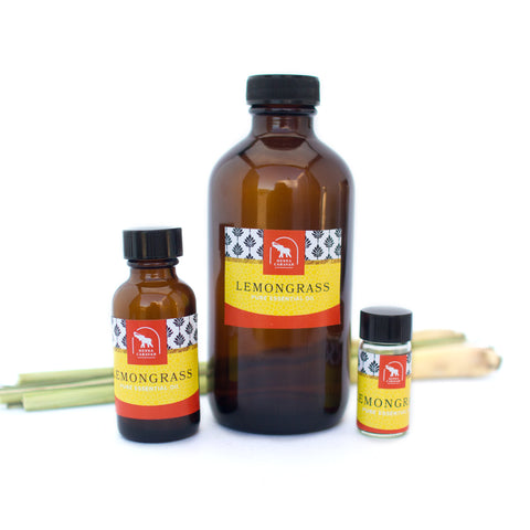 lemongrass essential oil in various sizes