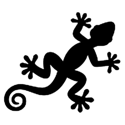 Gecko, large