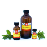 spearmint essential oil in various sizes